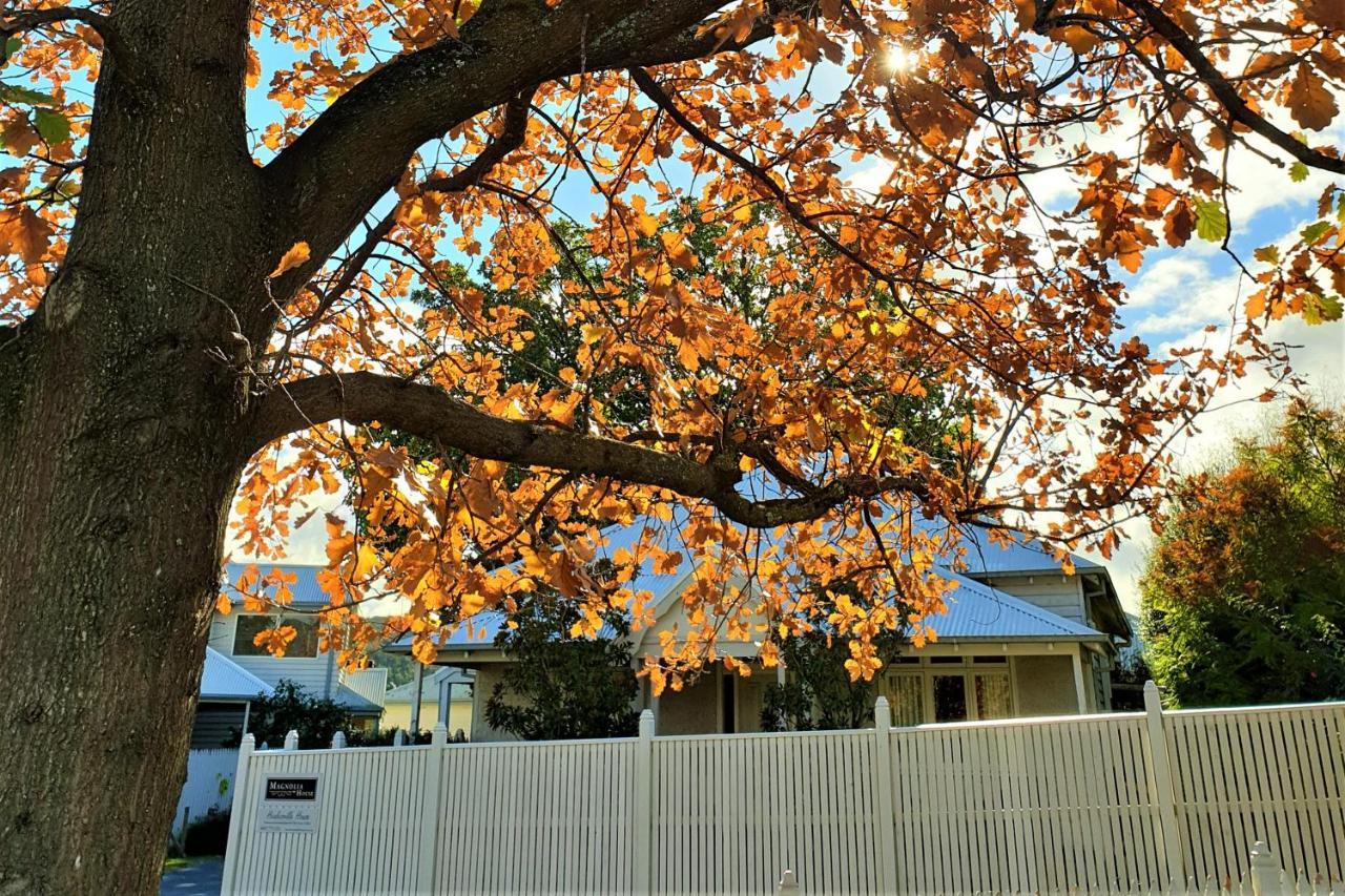 Healesville House - Magnolia House Exterior foto